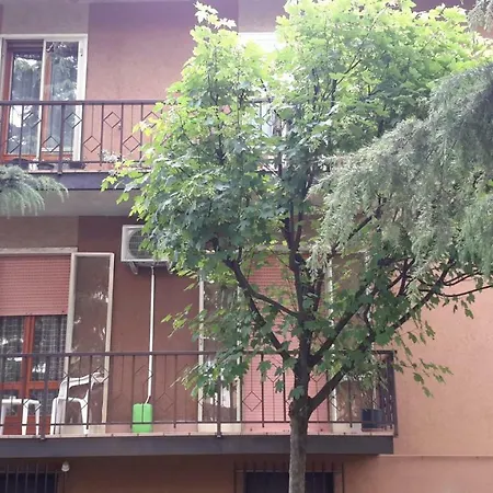 Il Di Ross Verona